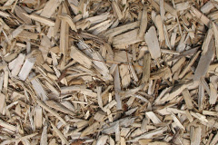 biomass boilers Midlem